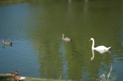 Прикрепленное изображение: DSC02149-1.JPG